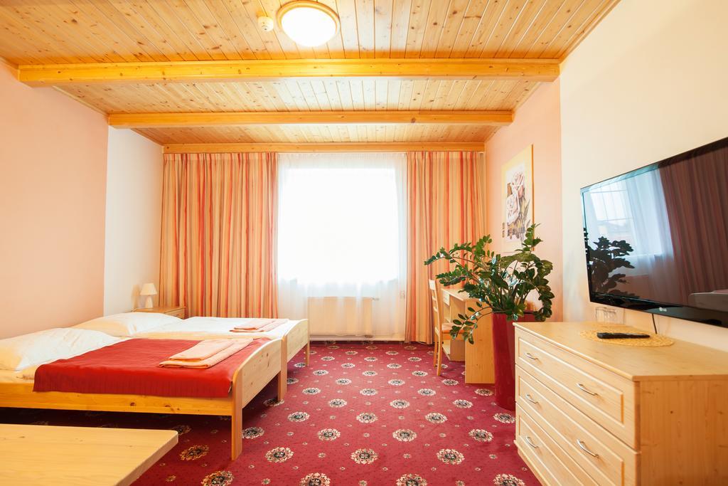 Sport-V-Hotel Hrotovice Oda fotoğraf