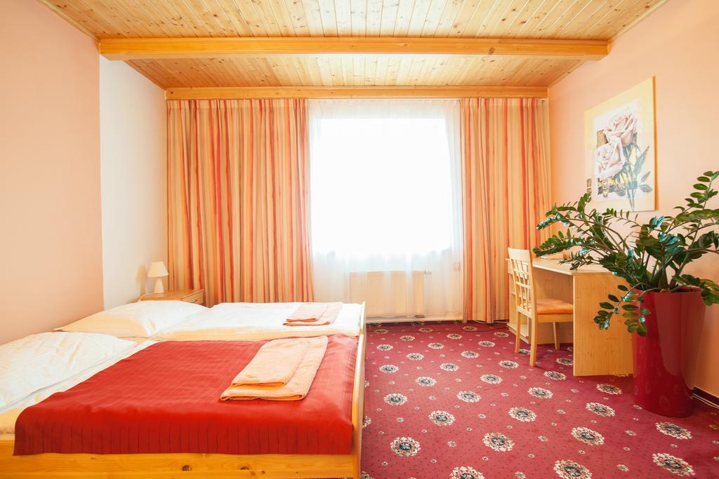 Sport-V-Hotel Hrotovice Oda fotoğraf